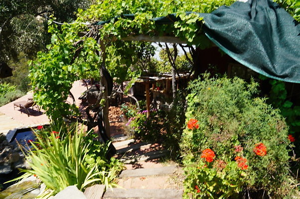 DSC00882