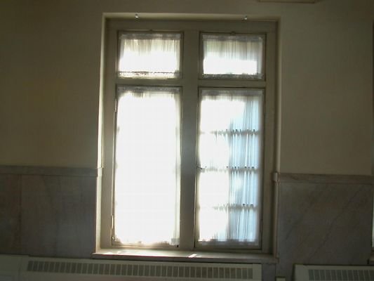 101