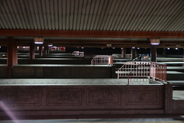 DSC 5851