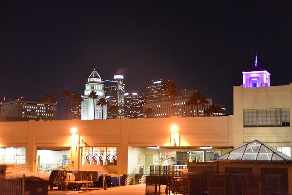 DSC 5856