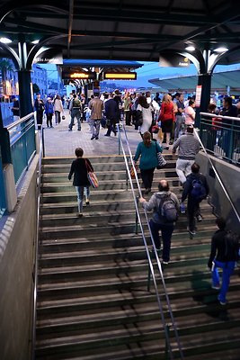 DSC 5850