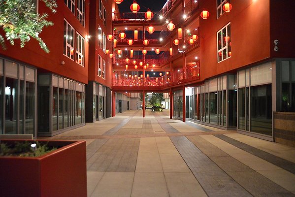 DSC 5917