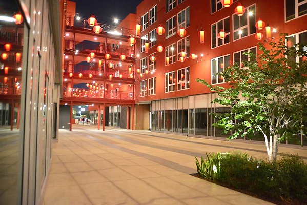 DSC 5922