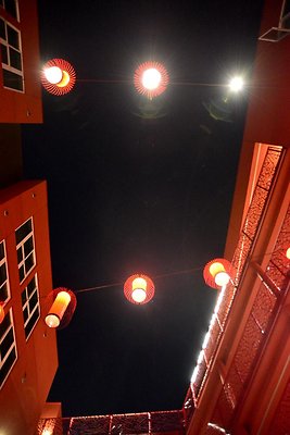 DSC 5920