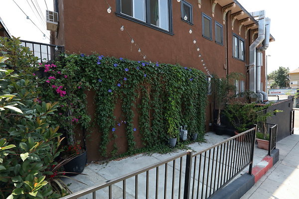 Cafe Patio 0041 1