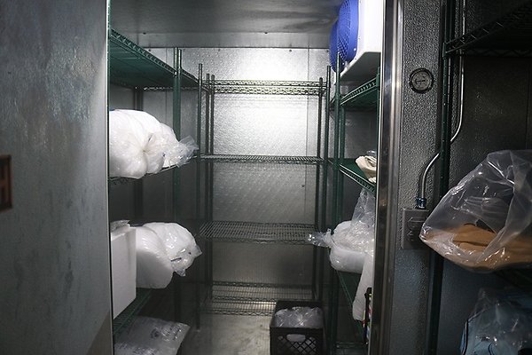 IMG 0820