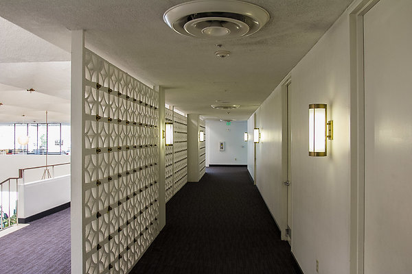 PL3112-49