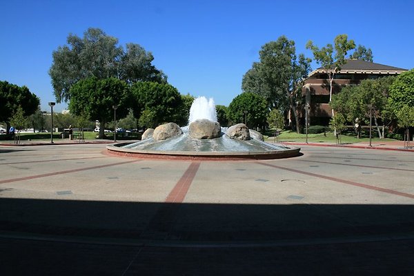 4910Suite5929 4910Suite5929