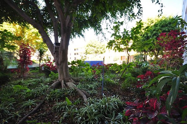 9226 courtyard10