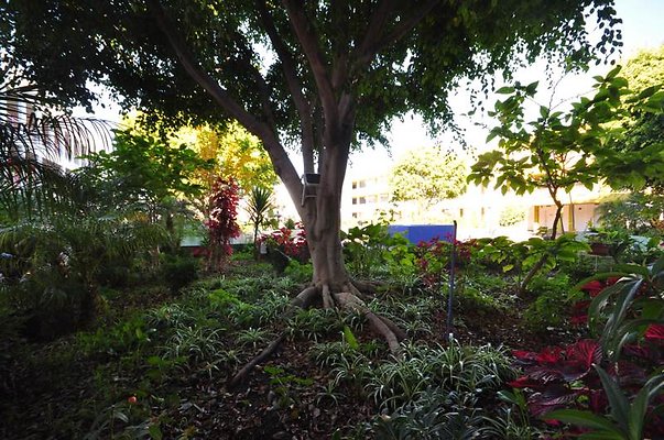 9226 courtyard11