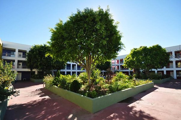 9226 courtyard3
