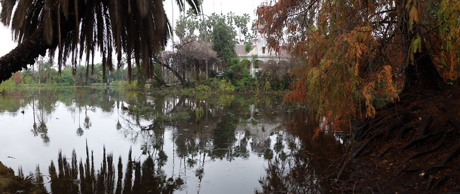 LA.Arboretum.Swamp.Forest.59