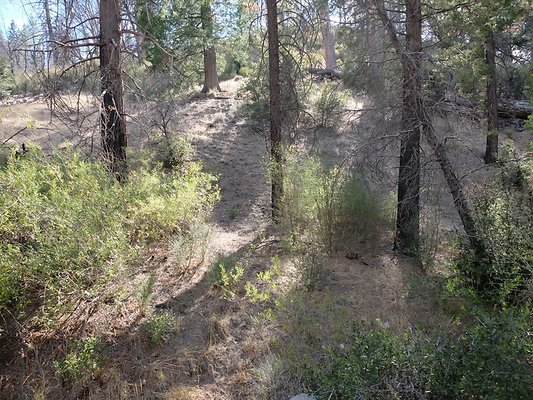 Charlton.Flats.USFS.143