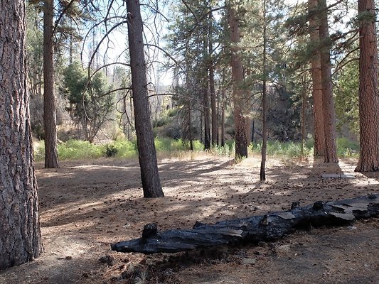 Charlton.Flats.USFS.158