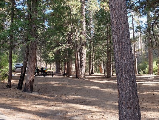 Charlton.Flats.USFS.156