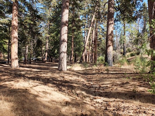 Charlton.Flats.USFS.164