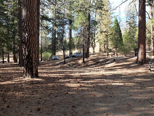 Charlton.Flats.USFS.126