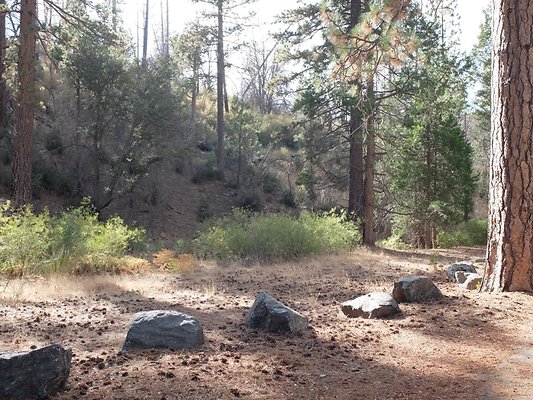 Charlton.Flats.USFS.178