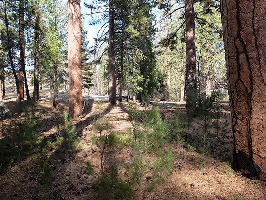 Charlton.Flats.USFS.146