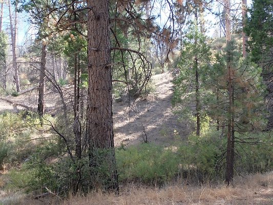 Charlton.Flats.USFS.130