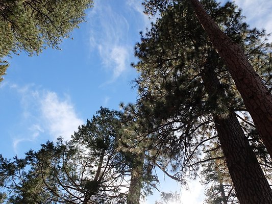 Charlton.Flats.USFS.174