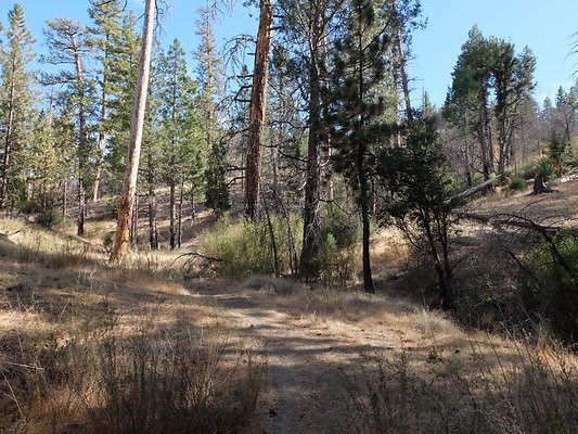 Charlton.Flats.USFS.131
