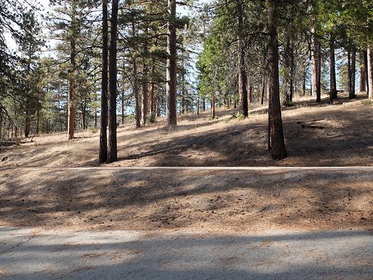 Charlton.Flats.USFS.64 Charlton.Flats.USFS.64