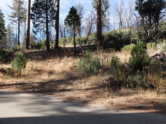 Charlton.Flats.USFS.160