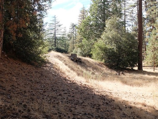 Charlton.Flats.USFS.96 Charlton.Flats.USFS.96