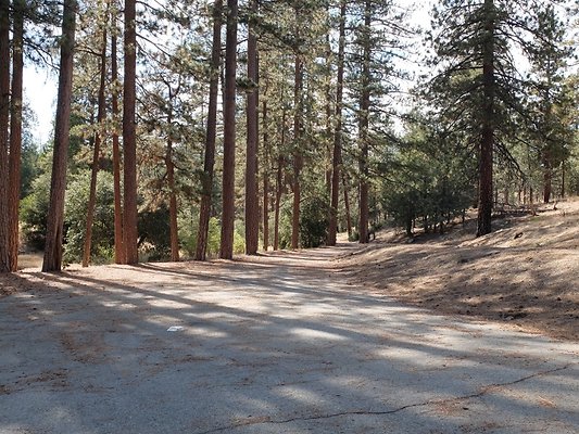 Charlton.Flats.USFS.63 Charlton.Flats.USFS.63