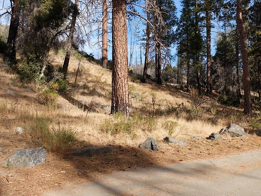 Charlton.Flats.USFS.191 Charlton.Flats.USFS.191