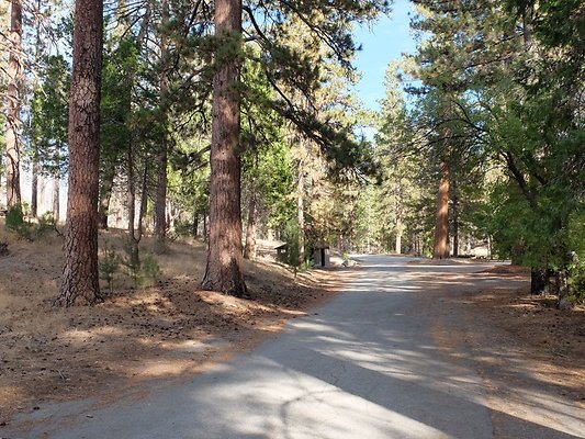 Charlton.Flats.USFS.155