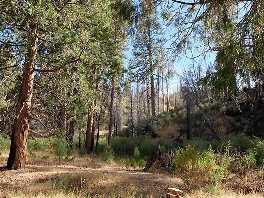 Charlton.Flats.USFS.167