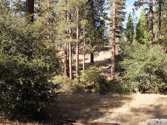 Charlton.Flats.USFS.99 Charlton.Flats.USFS.99