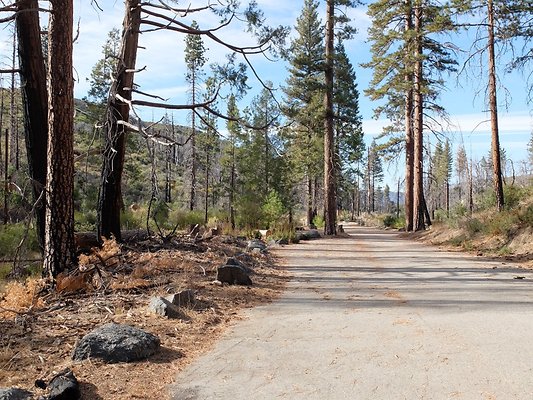 Charlton.Flats.USFS.195 Charlton.Flats.USFS.195