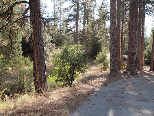 Charlton.Flats.USFS.62 Charlton.Flats.USFS.62