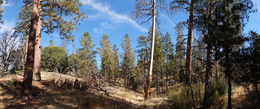 Charlton.Flats.USFS.141