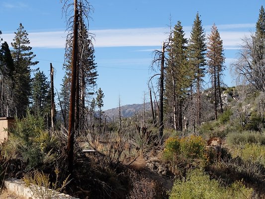 Charlton.Flats.USFS.208 Charlton.Flats.USFS.208