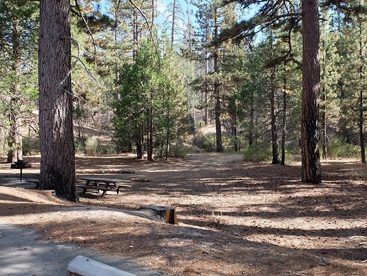 Charlton.Flats.USFS.123