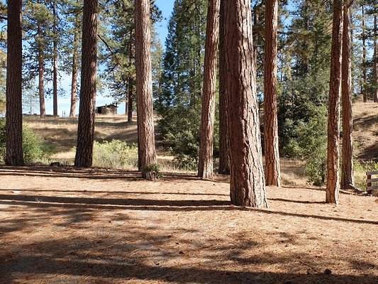 Charlton.Flats.USFS.77 Charlton.Flats.USFS.77