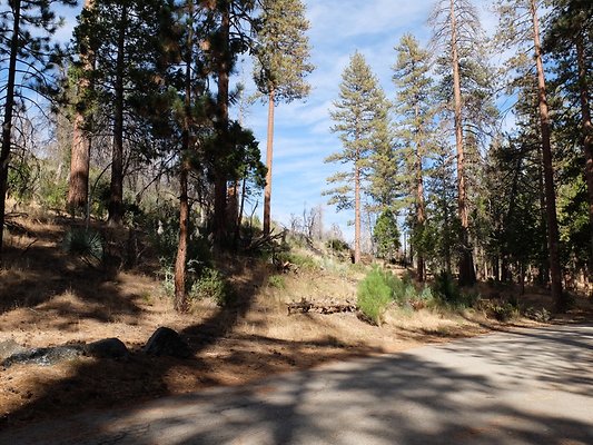 Charlton.Flats.USFS.170