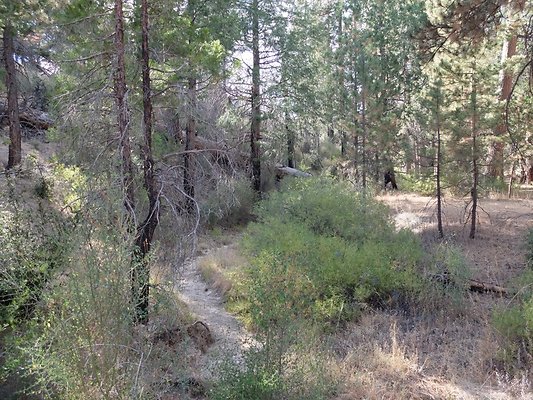 Charlton.Flats.USFS.144