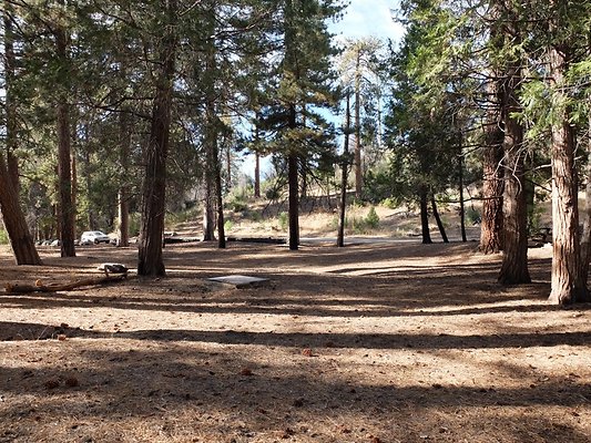 Charlton.Flats.USFS.150