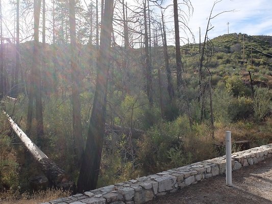 Charlton.Flats.USFS.203 Charlton.Flats.USFS.203