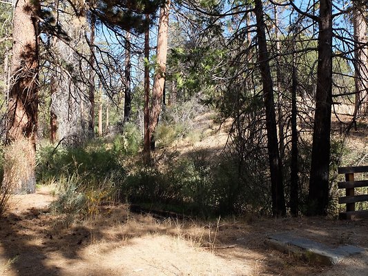 Charlton.Flats.USFS.128