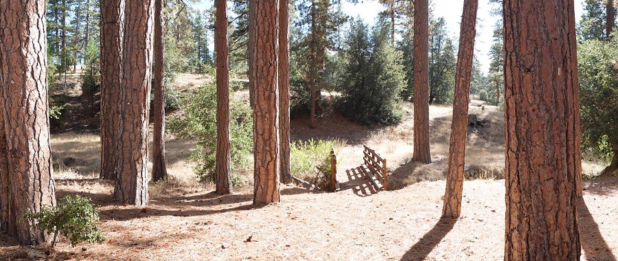 Charlton.Flats.USFS.86 Charlton.Flats.USFS.86