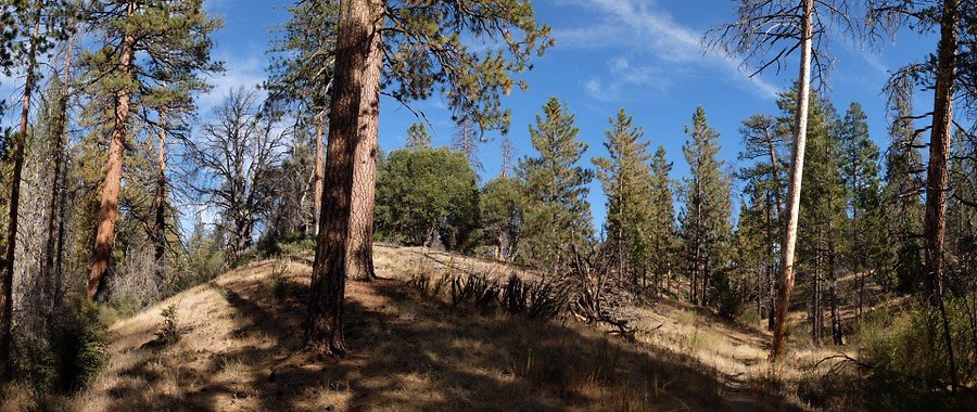 Charlton.Flats.USFS.140