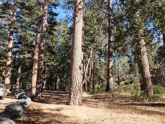 Charlton.Flats.USFS.166