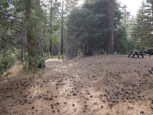 Charlton.Flats.USFS.212 Charlton.Flats.USFS.212