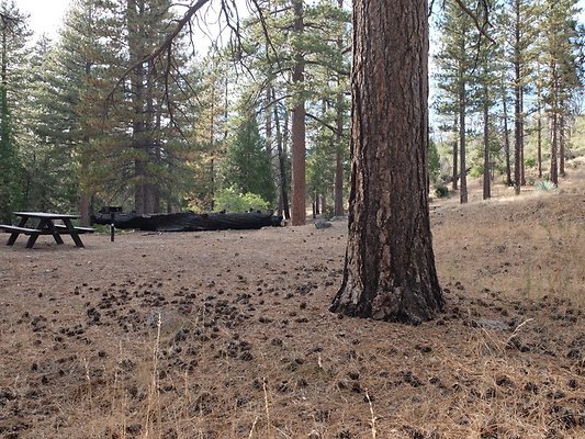 Charlton.Flats.USFS.216 Charlton.Flats.USFS.216